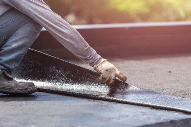 Wet basement repair process in New Lothrop, MI